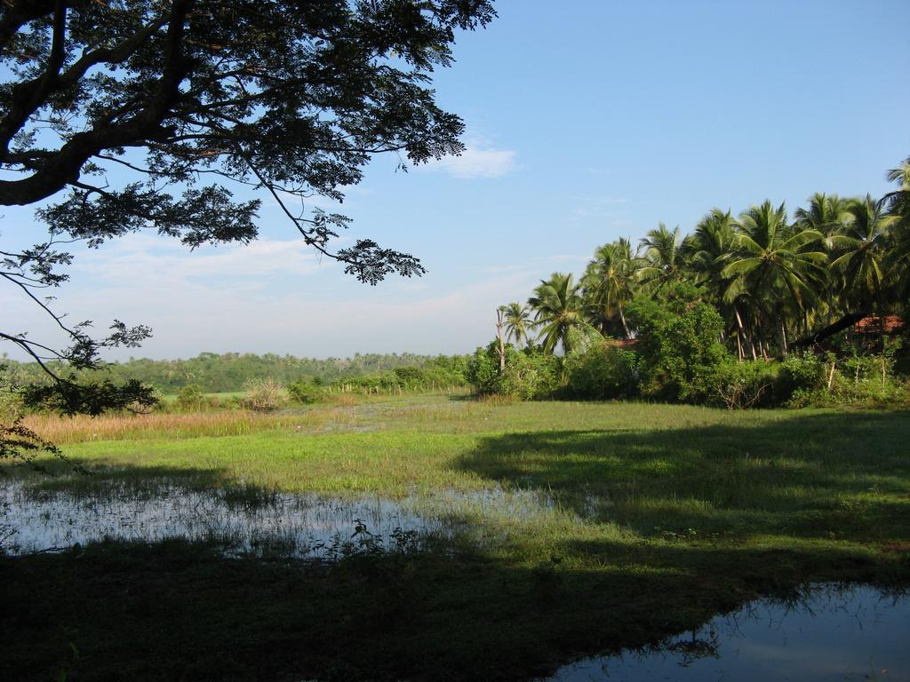 Villa Sunrise Tangalle Zewnętrze zdjęcie